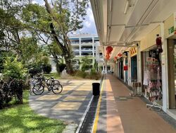 Ping-an Gardens (D16), Shop House #486022631